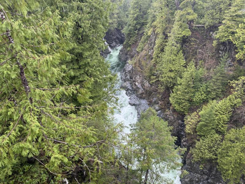 Jordan River Port Renfrew photo 59