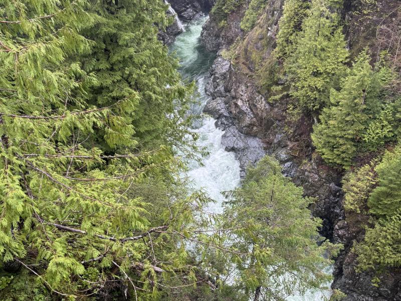 Jordan River Port Renfrew photo 60