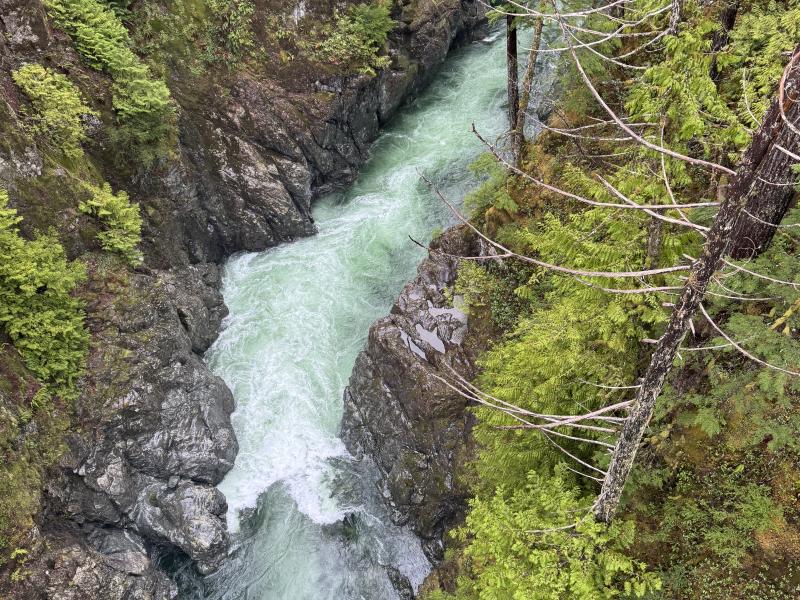 Jordan River Port Renfrew photo 61
