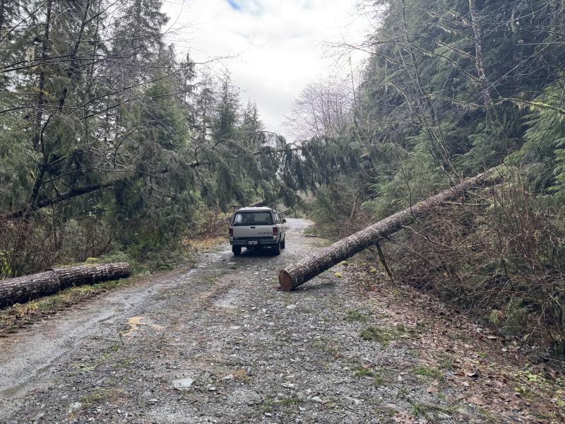 Jordan River Port Renfrew photo 64