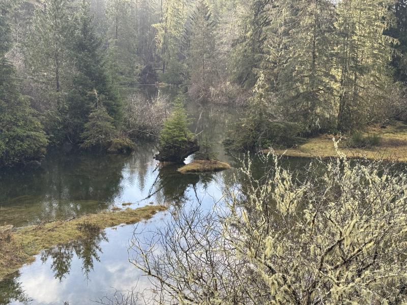 Jordan River Port Renfrew photo 66