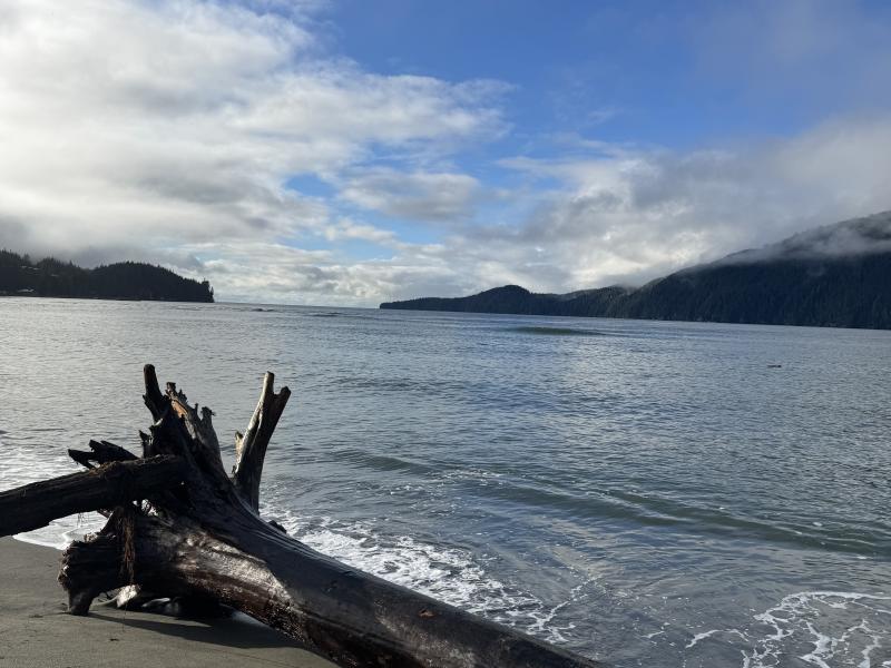 Jordan River Port Renfrew photo 71
