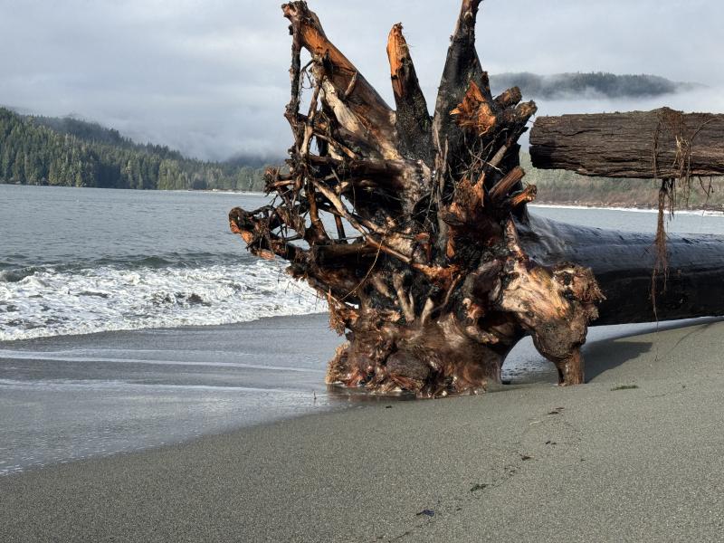 Jordan River Port Renfrew photo 73