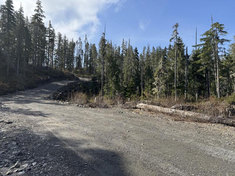 Noyse Three Arm Lake photo 3