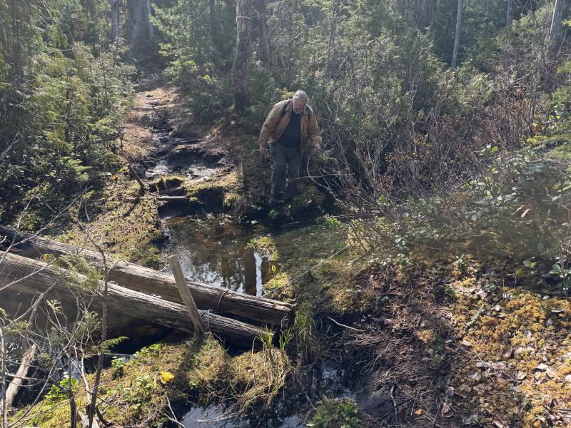 Noyse Three Arm Lake photo 6