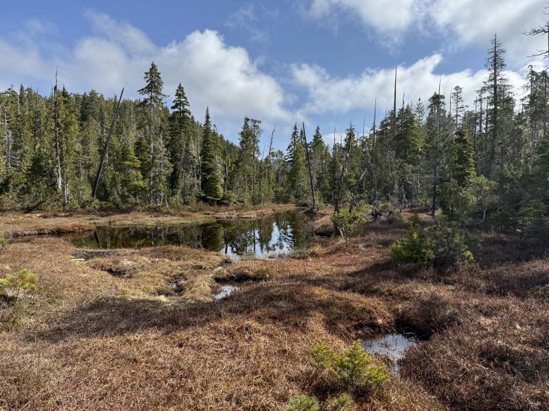 Noyse Three Arm Lake photo 12