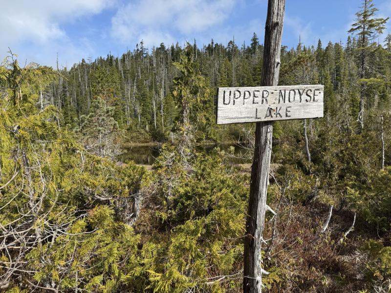 Noyse Three Arm Lake photo 13