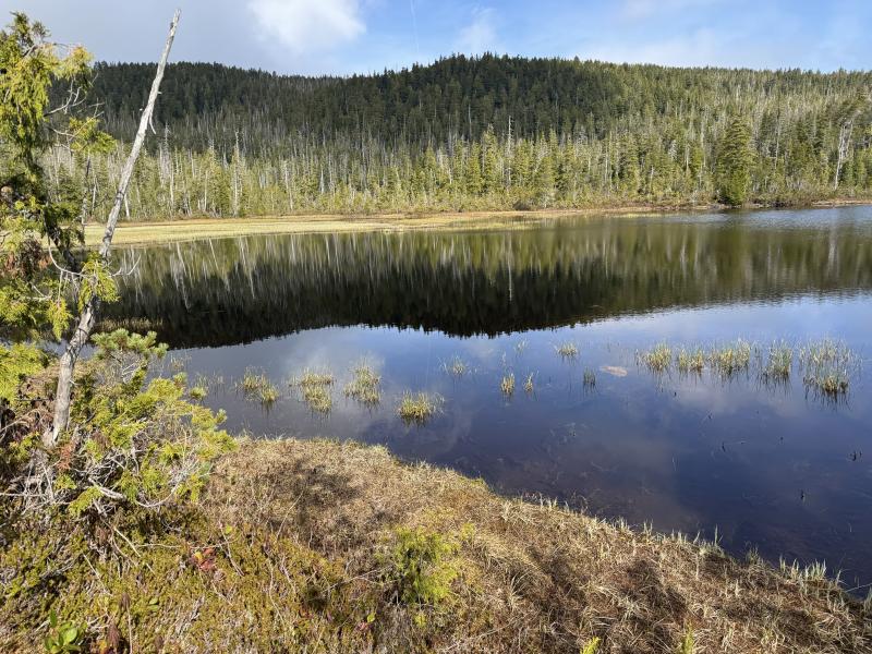 Noyse Three Arm Lake photo 14