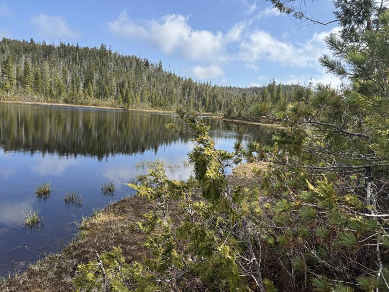 Noyse Three Arm Lake photo 15