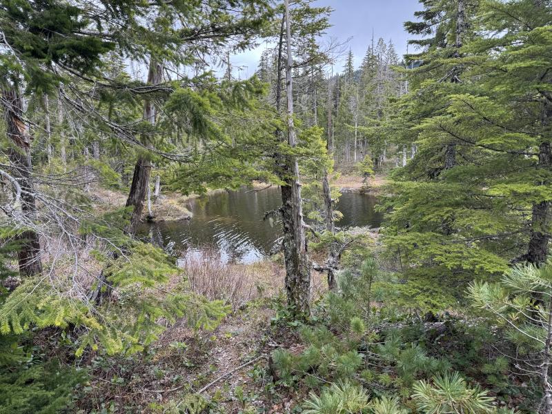 Noyse Three Arm Lake photo 20