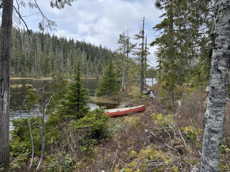 Noyse Three Arm Lake photo 21