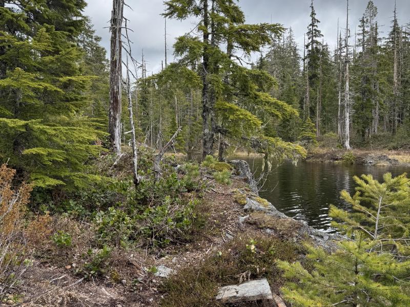 Noyse Three Arm Lake photo 22