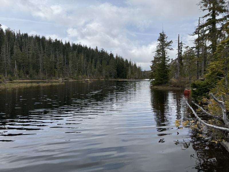 Noyse Three Arm Lake photo 23