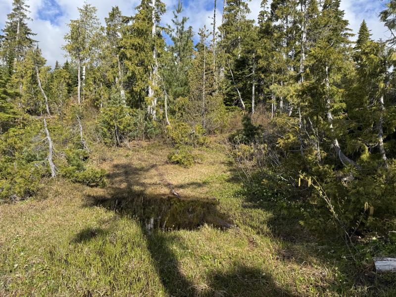Meadow Cabin Trapper Lakes photo 22