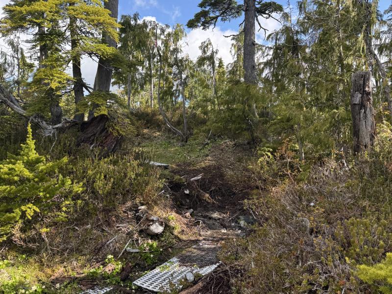 Meadow Cabin Trapper Lakes photo 23