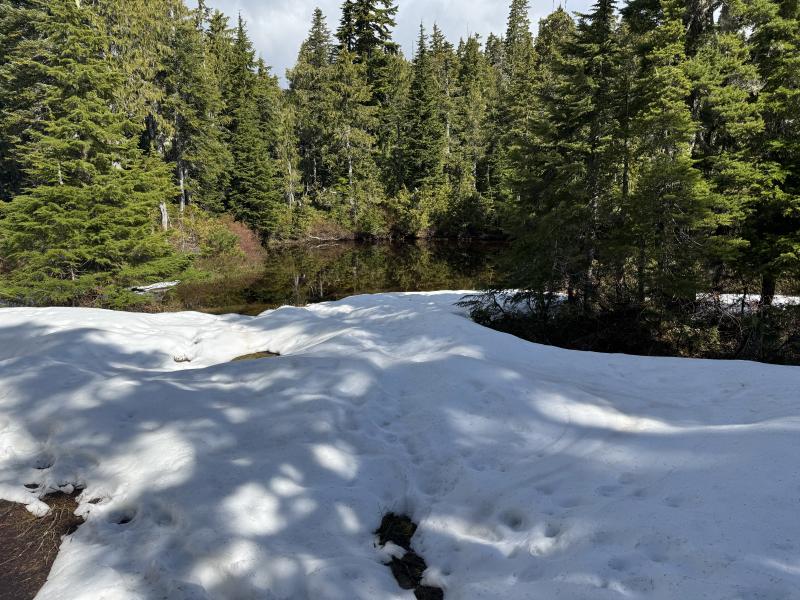 Meadow Cabin Trapper Lakes photo 25