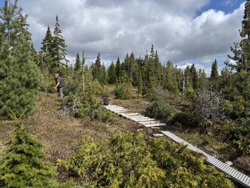 Meadow Cabin Trapper Lakes photo 28
