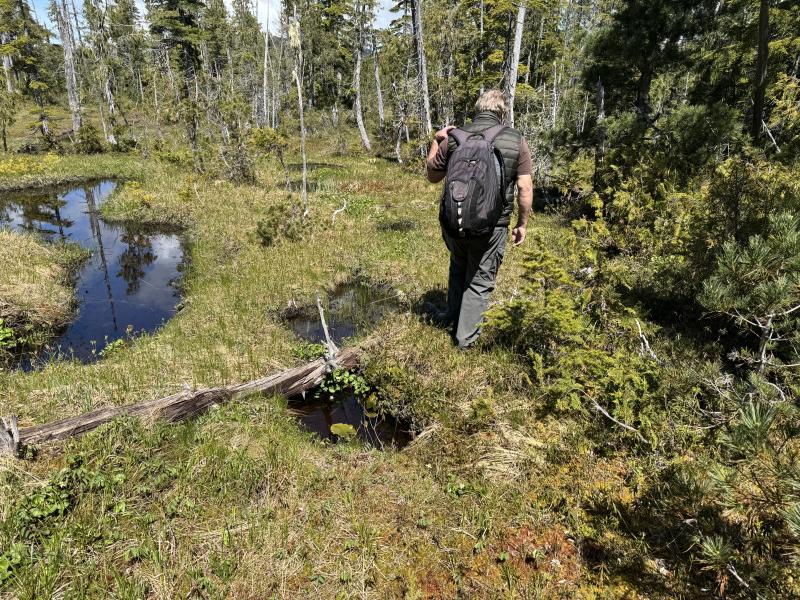 Meadow Cabin Trapper Lakes photo 41