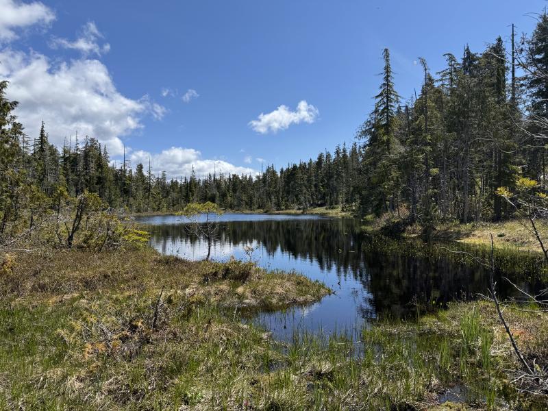 Meadow Cabin Trapper Lakes photo 42