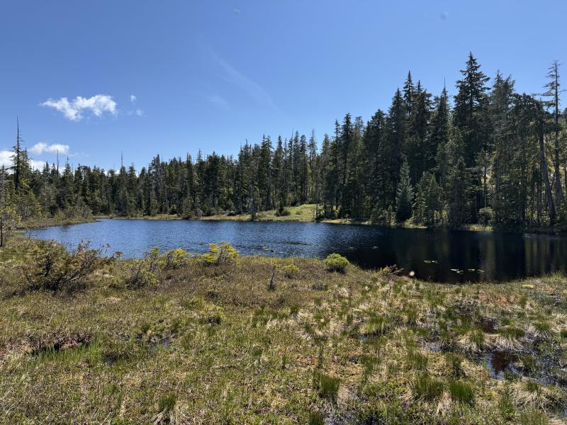 Meadow Cabin Trapper Lakes photo 43