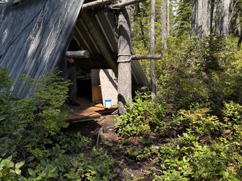Meadow Cabin Trapper Lakes photo 44