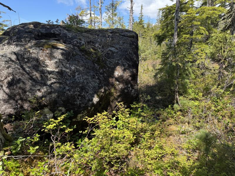 Meadow Cabin Trapper Lakes photo 45