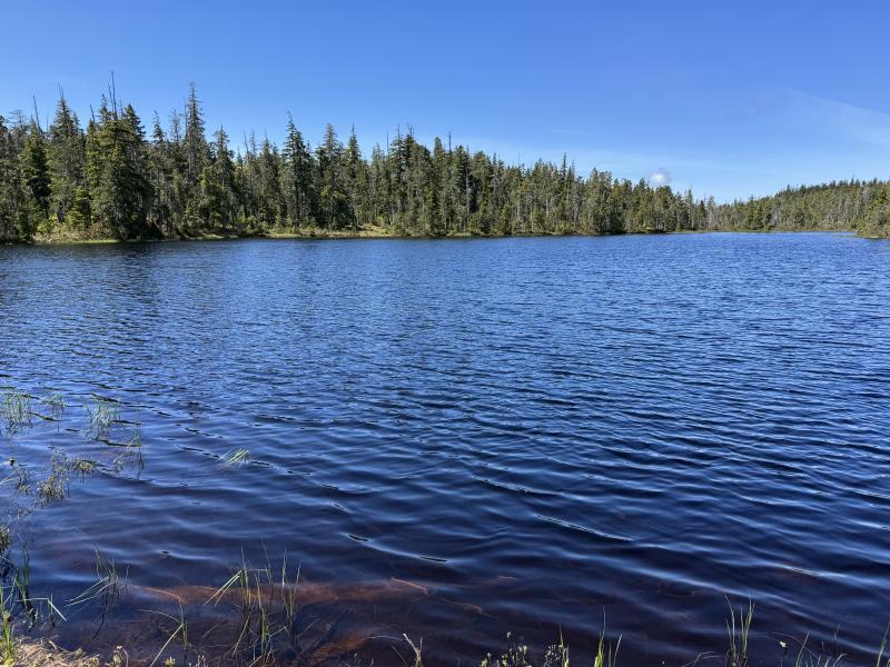 Meadow Cabin Trapper Lakes photo 48