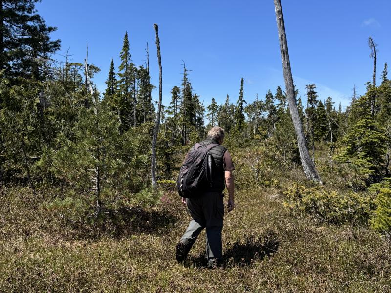 Meadow Cabin Trapper Lakes photo 51