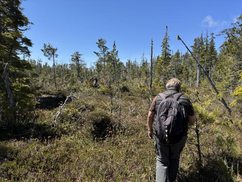 Meadow Cabin Trapper Lakes photo 53