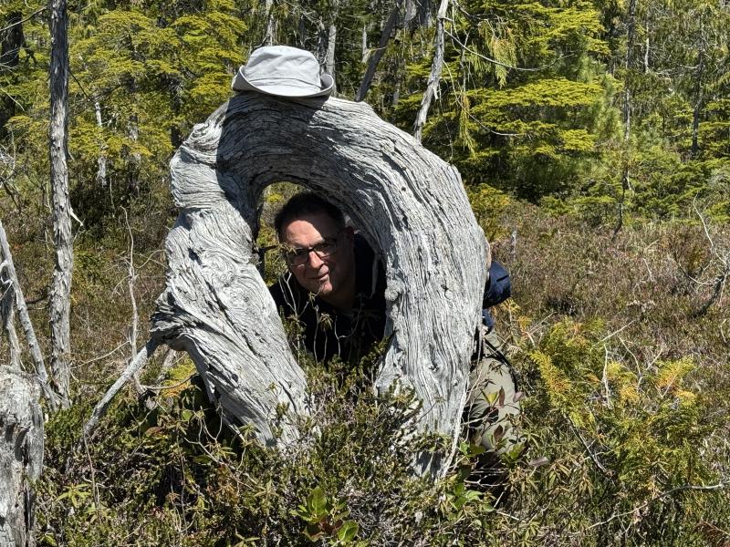 Meadow Cabin Trapper Lakes photo 54