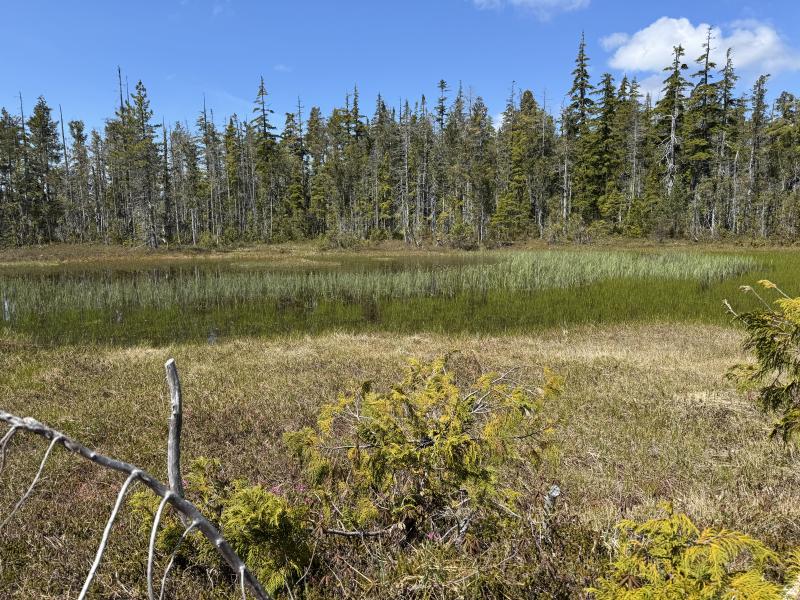 Meadow Cabin Trapper Lakes photo 55