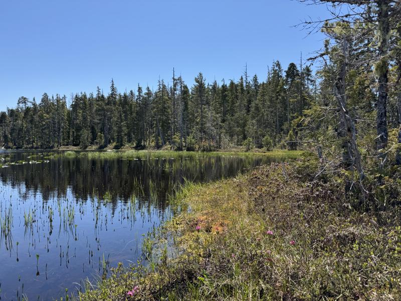 Meadow Cabin Trapper Lakes photo 59
