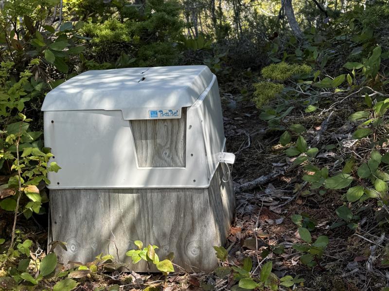 Meadow Cabin Trapper Lakes photo 60