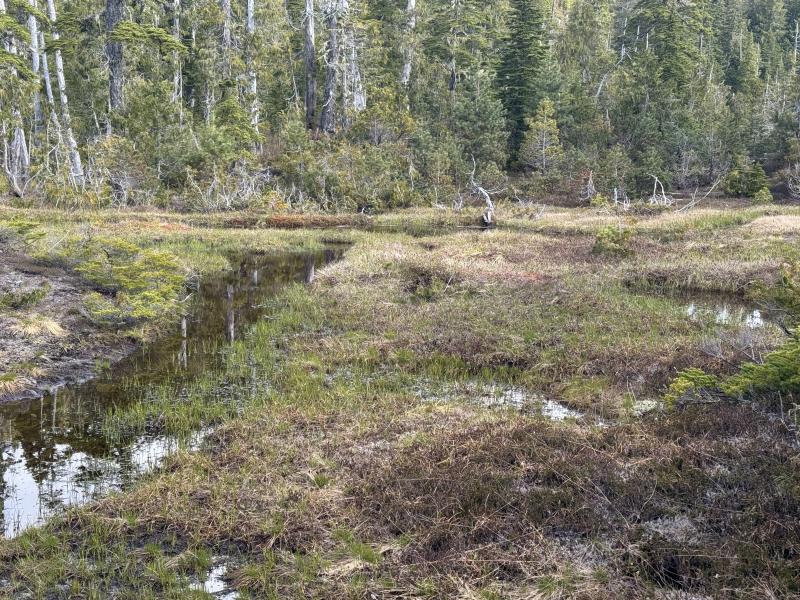 Meadow Cabin Trapper Lakes photo 14