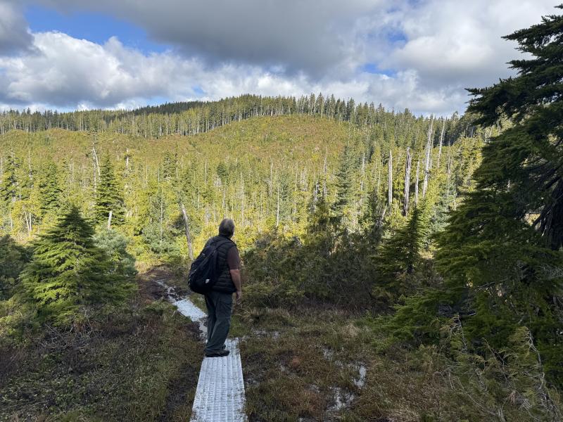 Meadow Cabin Trapper Lakes photo 17