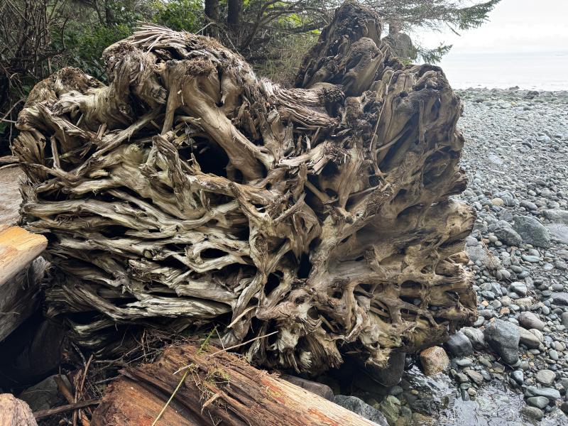 Mystic Beach photo 14
