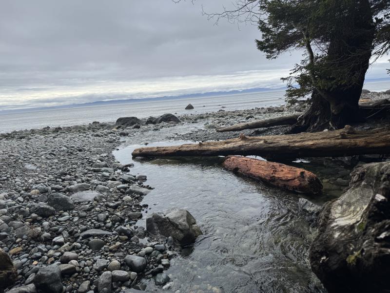 Mystic Beach photo 15