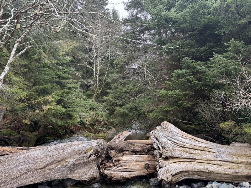 Mystic Beach photo 16