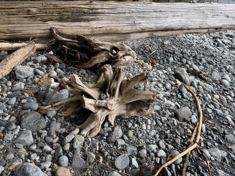 Mystic Beach photo 10