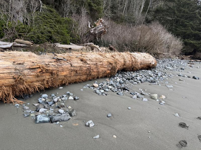 Mystic Beach photo 12