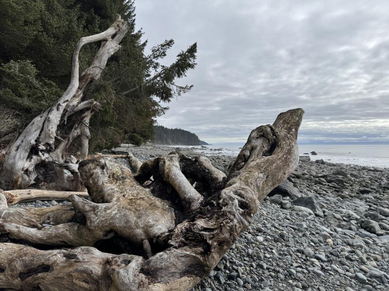 Mystic Beach photo 20