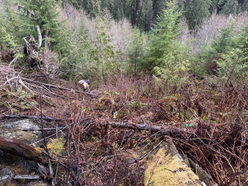 Gordon River Cave Hunt photo 3