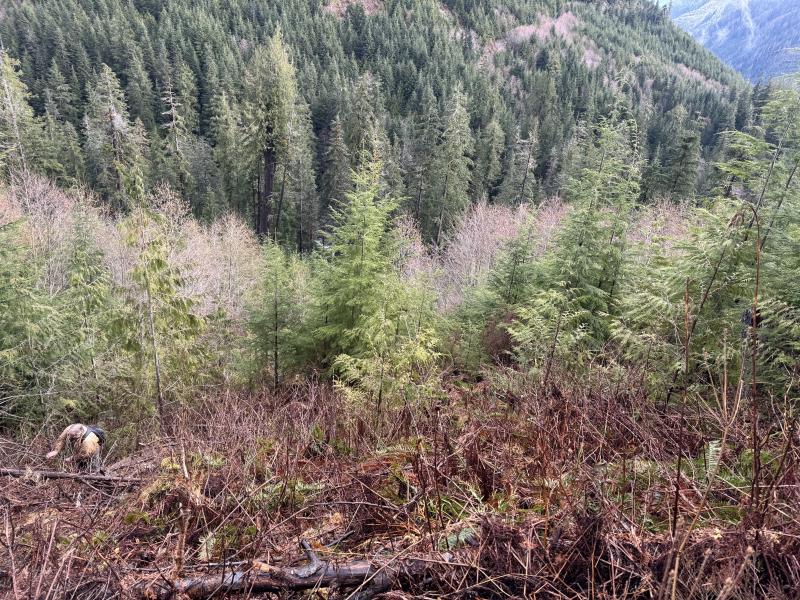 Gordon River Cave Hunt photo 4