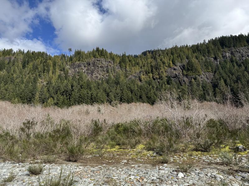 Gordon River Cave Hunt photo 10