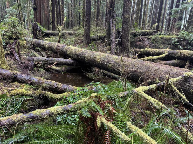 Jordan River Renfrew photo 12