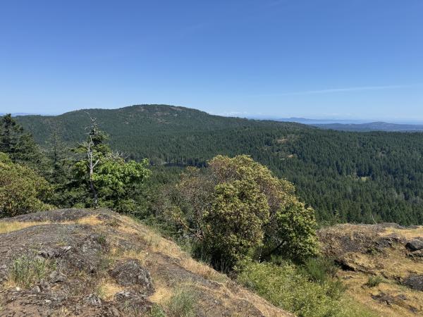 trussel mountain hike