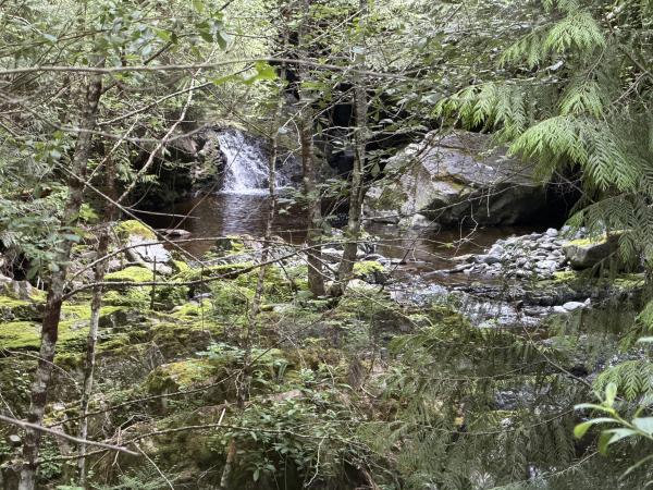 various hikes
