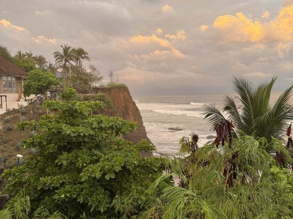 purto vallarta ceboruco